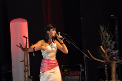 26.04.2013 - Sylvia Martens und die »Randfichten« gastieren in der Greizer Vogtlandhalle