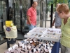 3. Mineralien-und SchmuckbÃ¶rse in der Greizer Vogtlandhalle