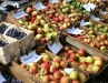 Herbst- und Erntemarkt Erdapfel & Co. in Zickra