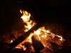 Mountain-Man, Countrymusic und glänzende US-Cars