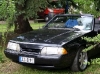 Mountain-Man, Countrymusic und glänzende US-Cars