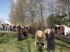 Ritterfest auf Schloss Netzschkau
