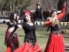 Ritterfest auf Schloss Netzschkau