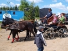 Männertag auf dem Reiterhof Jäschke in Mohlsdorf