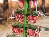 In Berga gibt es jedes Jahr in der Osterzeit vieles zu beschauen. Viele fleißige Osterfrauen verwandeln die Stadt in eine bunte Osterstadt.
