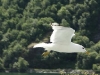 Reiseziel Norwegen