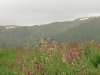 Norwegen - immer eine Reise wert