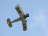 Zur Flugschau des Modellsportvereines Greiz pilgern mehrere Tausend Menschen