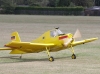 14. Modell-Flugschau in Greiz-Obergrochlitz