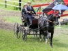 Thüringer Landesmeisterschaften im Gespannfahren 2012 in Mohlsdorf -Hindernisfahren