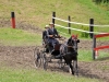 Thüringer Landesmeisterschaften im Gespannfahren 2012 in Mohlsdorf -Hindernisfahren