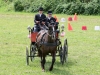 Thüringer Landesmeisterschaften im Gespannfahren 2012 in Mohlsdorf -Hindernisfahren