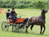 Thüringer Landesmeisterschaften im Gespannfahren 2012 in Mohlsdorf -Hindernisfahren