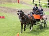 Thüringer Landesmeisterschaften im Gespannfahren 2012 in Mohlsdorf -Hindernisfahren