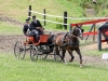 Thüringer Landesmeisterschaften im Gespannfahren 2012 in Mohlsdorf -Hindernisfahren