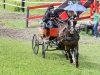 Thüringer Landesmeisterschaften im Gespannfahren 2012 in Mohlsdorf -Hindernisfahren