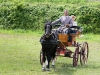 Thüringer Landesmeisterschaften im Gespannfahren 2012 in Mohlsdorf -Hindernisfahren