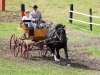 Thüringer Landesmeisterschaften im Gespannfahren 2012 in Mohlsdorf -Hindernisfahren