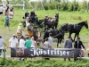 Thüringer Landesmeisterschaften im Gespannfahren 2012 in Mohlsdorf -Hindernisfahren