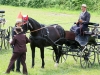Thüringer Landesmeisterschaften im Gespannfahren 2012 in Mohlsdorf -Hindernisfahren