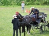 Thüringer Landesmeisterschaften im Gespannfahren 2012 in Mohlsdorf -Hindernisfahren