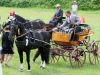 Thüringer Landesmeisterschaften im Gespannfahren 2012 in Mohlsdorf -Hindernisfahren