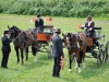 Thüringer Landesmeisterschaften im Gespannfahren 2012 in Mohlsdorf -Hindernisfahren