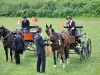 Thüringer Landesmeisterschaften im Gespannfahren 2012 in Mohlsdorf -Hindernisfahren
