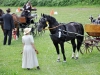 Thüringer Landesmeisterschaften im Gespannfahren 2012 in Mohlsdorf -Hindernisfahren