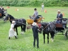 Thüringer Landesmeisterschaften im Gespannfahren 2012 in Mohlsdorf -Hindernisfahren