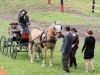 Thüringer Landesmeisterschaften im Gespannfahren 2012 in Mohlsdorf -Hindernisfahren