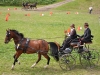 Thüringer Landesmeisterschaften im Gespannfahren 2012 in Mohlsdorf -Hindernisfahren