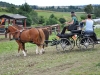Thüringer Landesmeisterschaften im Gespannfahren 2012 in Mohlsdorf -Hindernisfahren