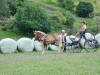 Thüringer Landesmeisterschaften im Gespannfahren 2012 in Mohlsdorf -Hindernisfahren