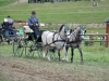 Thüringer Landesmeisterschaften im Gespannfahren 2012 in Mohlsdorf -Hindernisfahren