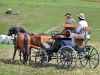 Thüringer Landesmeisterschaften im Gespannfahren 2012 in Mohlsdorf -Hindernisfahren