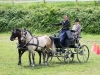 Thüringer Landesmeisterschaften im Gespannfahren 2012 in Mohlsdorf -Hindernisfahren