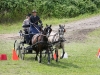 Thüringer Landesmeisterschaften im Gespannfahren 2012 in Mohlsdorf -Hindernisfahren