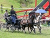 Thüringer Landesmeisterschaften im Gespannfahren 2012 in Mohlsdorf -Hindernisfahren
