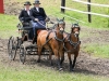 Thüringer Landesmeisterschaften im Gespannfahren 2012 in Mohlsdorf -Hindernisfahren