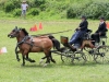 Thüringer Landesmeisterschaften im Gespannfahren 2012 in Mohlsdorf -Hindernisfahren
