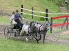 Thüringer Landesmeisterschaften im Gespannfahren 2012 in Mohlsdorf -Hindernisfahren