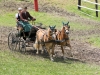 Thüringer Landesmeisterschaften im Gespannfahren 2012 in Mohlsdorf -Hindernisfahren