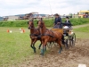 Thüringer Landesmeisterschaften im Gespannfahren 2012 in Mohlsdorf -Hindernisfahren