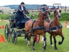 Thüringer Landesmeisterschaften im Gespannfahren 2012 in Mohlsdorf -Hindernisfahren