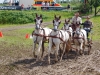 Thüringer Landesmeisterschaften im Gespannfahren 2012 in Mohlsdorf -Hindernisfahren