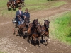 Thüringer Landesmeisterschaften im Gespannfahren 2012 in Mohlsdorf -Hindernisfahren