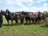 Thüringer Landesmeisterschaften im Gespannfahren 2012 in Mohlsdorf -Hindernisfahren