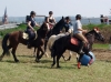 Mohlsdorfer Pferdefrühling lockte viele Besucher in den Greizer Osten