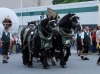 16. Wernesgrüner Brauereifest